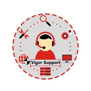VigorSupport - Remote Technical Support