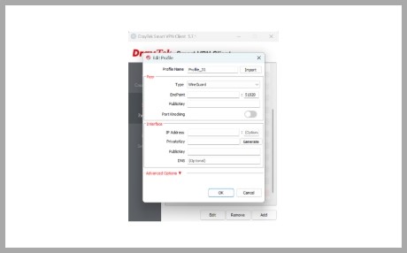 WireGuard VPN από Windows σε Vigor Router